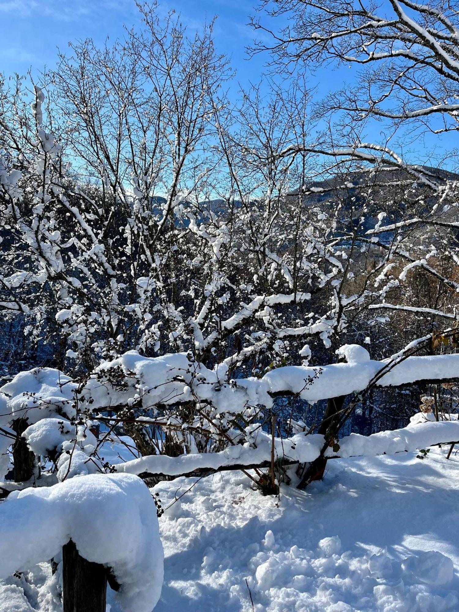 Sasso Al Melo - Apartments Cutigliano Kültér fotó